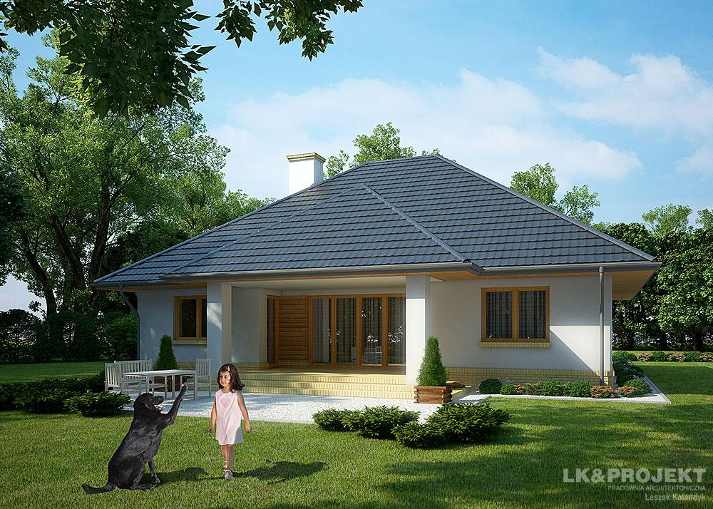 Одноповерховий дім з гаражем