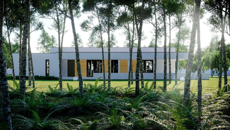 Projects — Photo 12