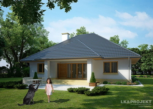 Одноповерховий дім з гаражем — Photo 7